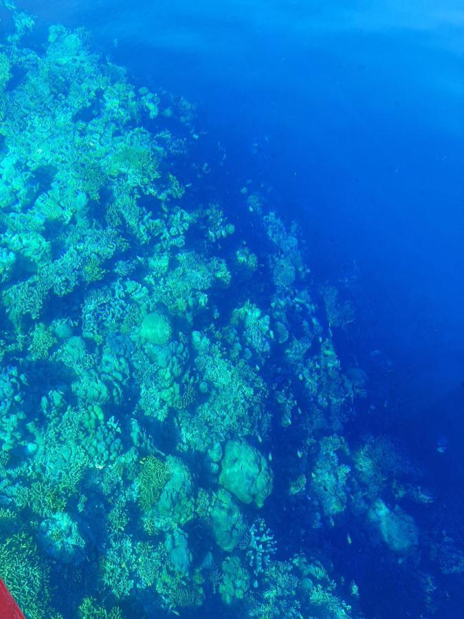 Blue Shark Divers Bunaken Exterior foto